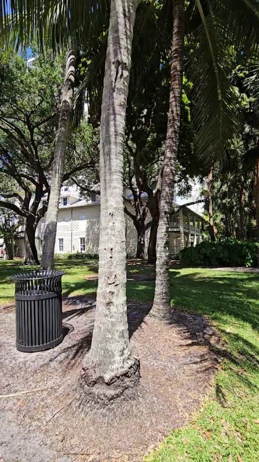 Fort Lauderdale Historical Society — foto