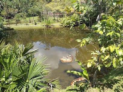 Santafé de los Guaduales