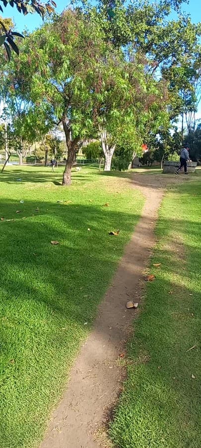 Parque Timiza — foto
