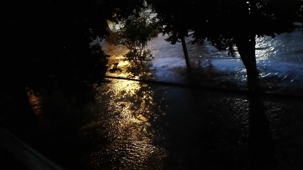 Parque El colsag — foto
