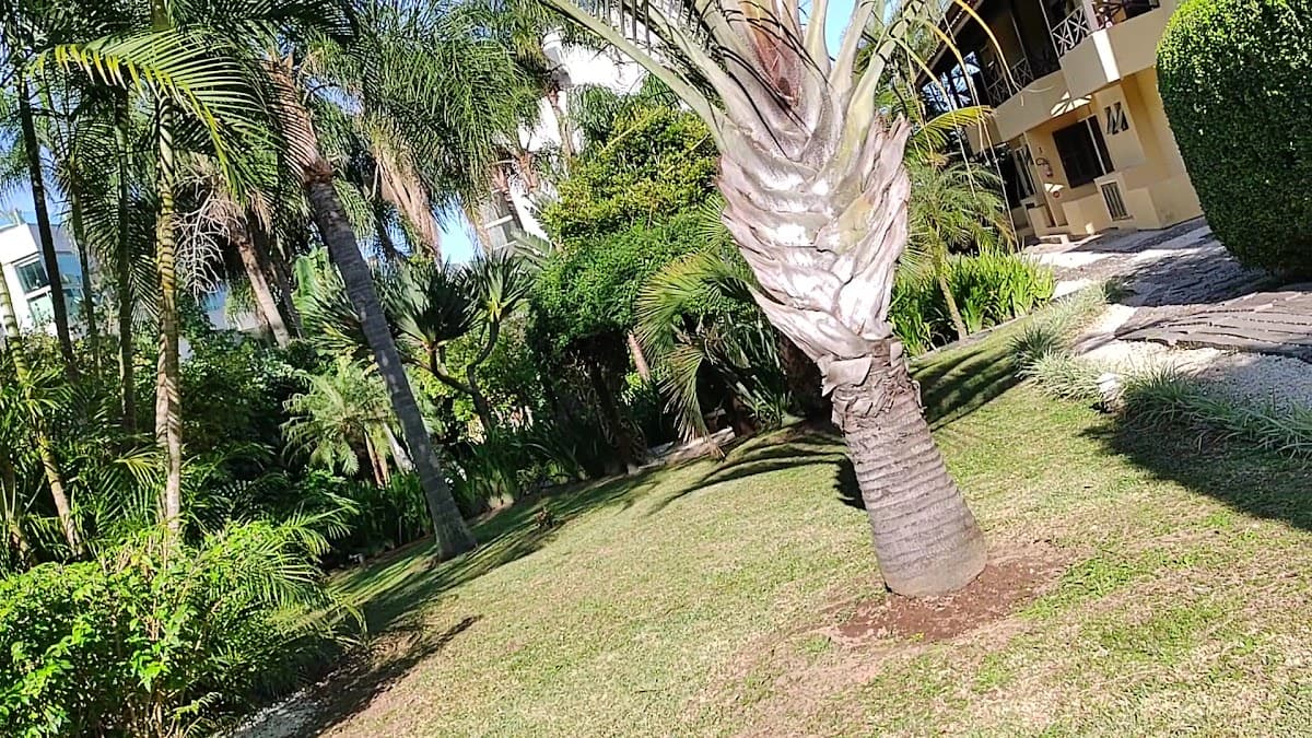 Pousada na Praia do Campeche | Vila Tamarindo Eco Lodge — foto