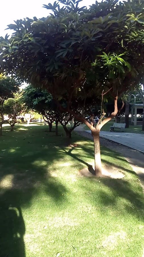 Parque José Prudencio Padilla — foto