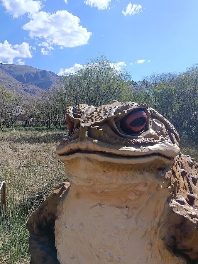 Humedal de Huasao — foto
