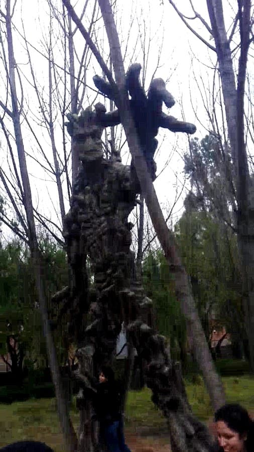 Humedal de Huasao — foto