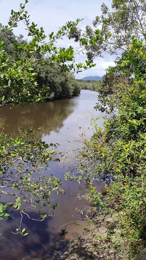 Municipal Environmental Reserve Park Capybara — foto