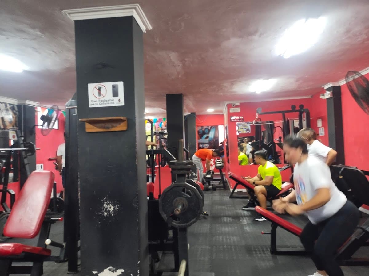 MegaFit Gym — foto