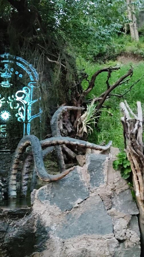 Bosque de los ENTS Atractivo Turistico y Ecologico en Cusco — foto