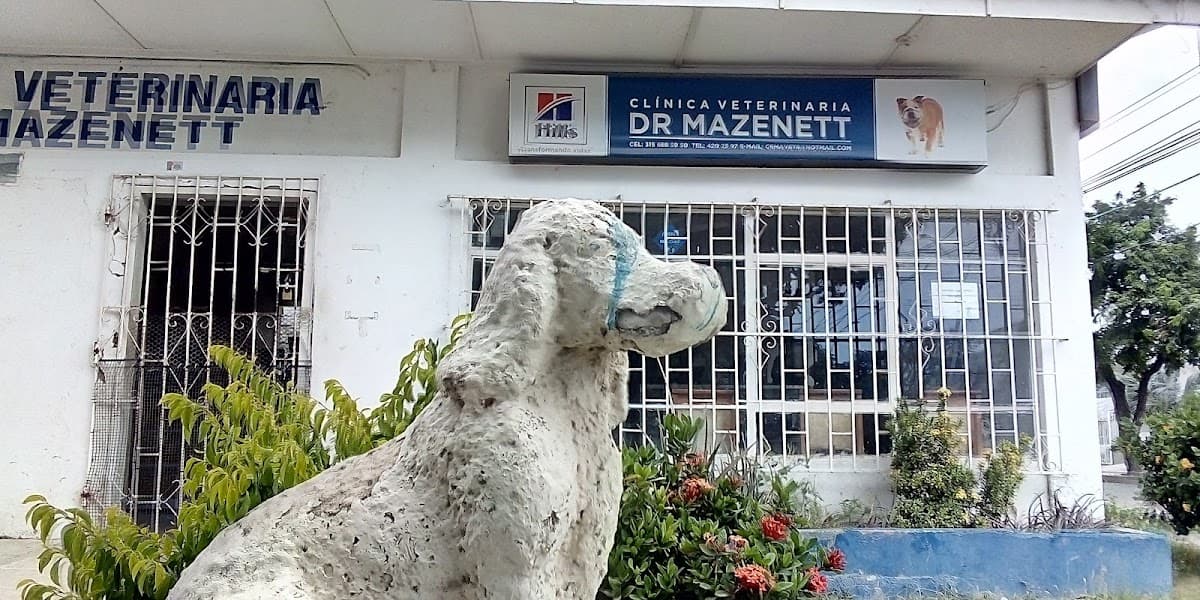 Dr. Mazenett