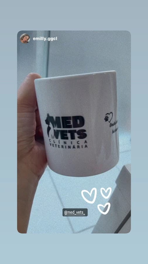 Clínica Veterinária MedVets ingleses — foto