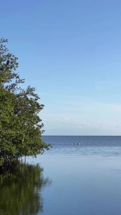 Charles Deering Estate — foto