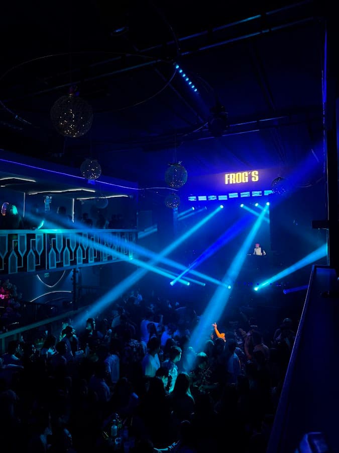 Frog'S Disco Lounge — foto