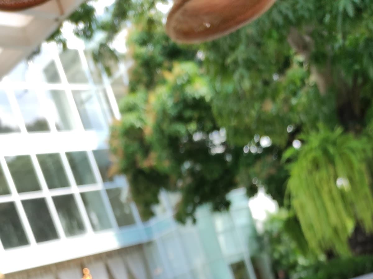 Al Giardino Caracas — foto