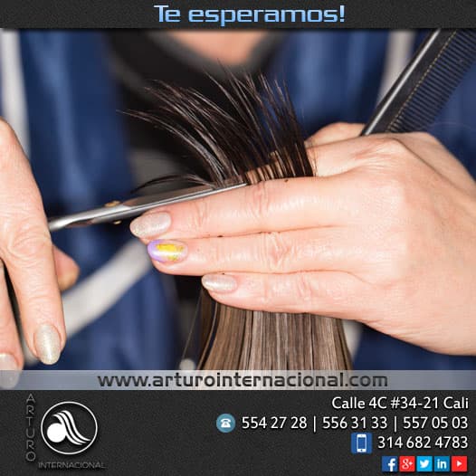 Arturo Internacional — foto