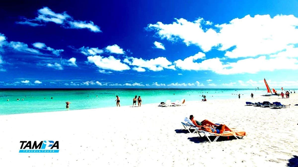 Tampa Travel & Tours — foto
