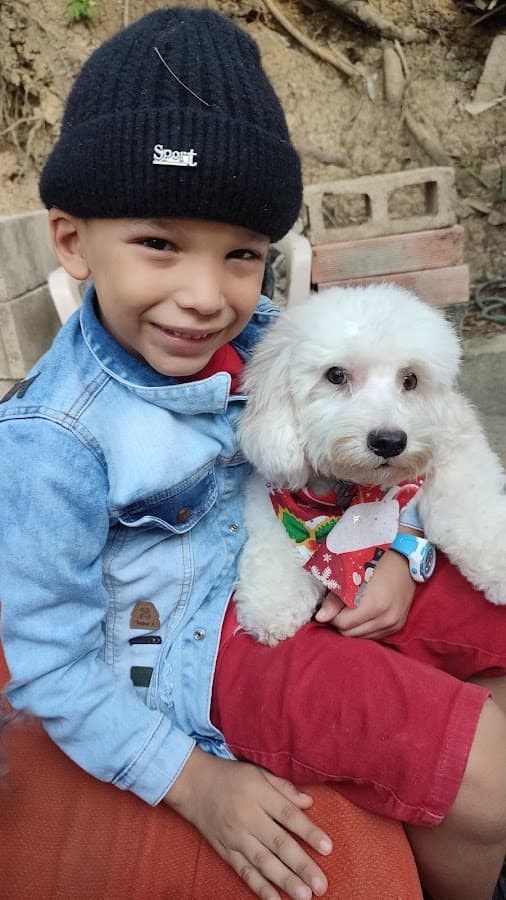 CLÍNICA VETERINARIA MUNDO MASCOTAS — foto