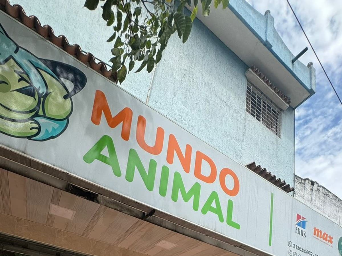 CLÍNICA VETERINARIA MUNDO MASCOTAS — foto