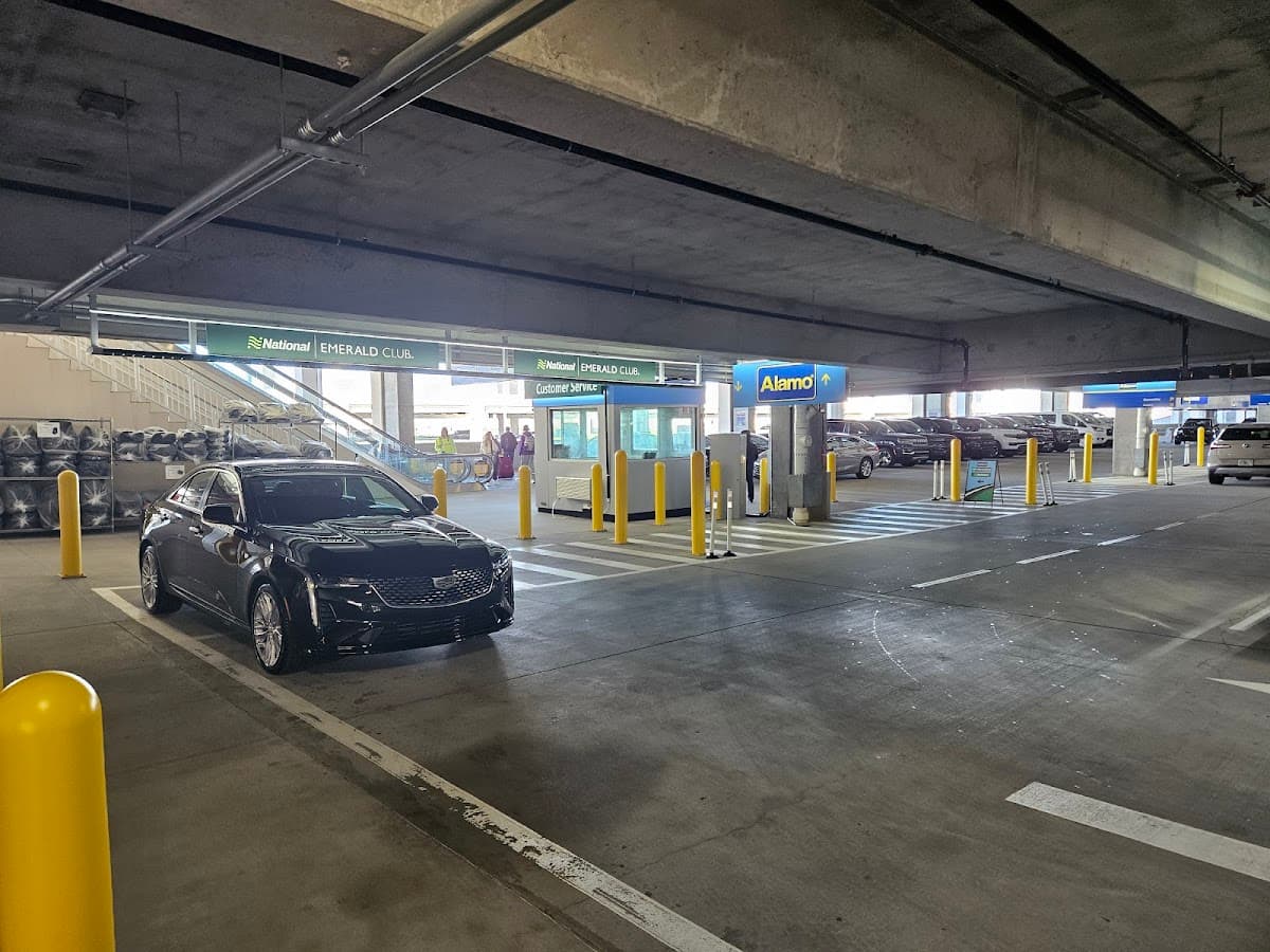 Alamo Rent A Car