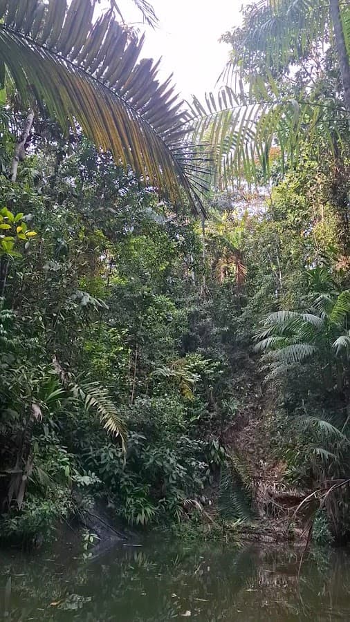 Viaja por Colombia y por el mundo, Agencia de Viajes Organización Parkway RNT 40101 — foto