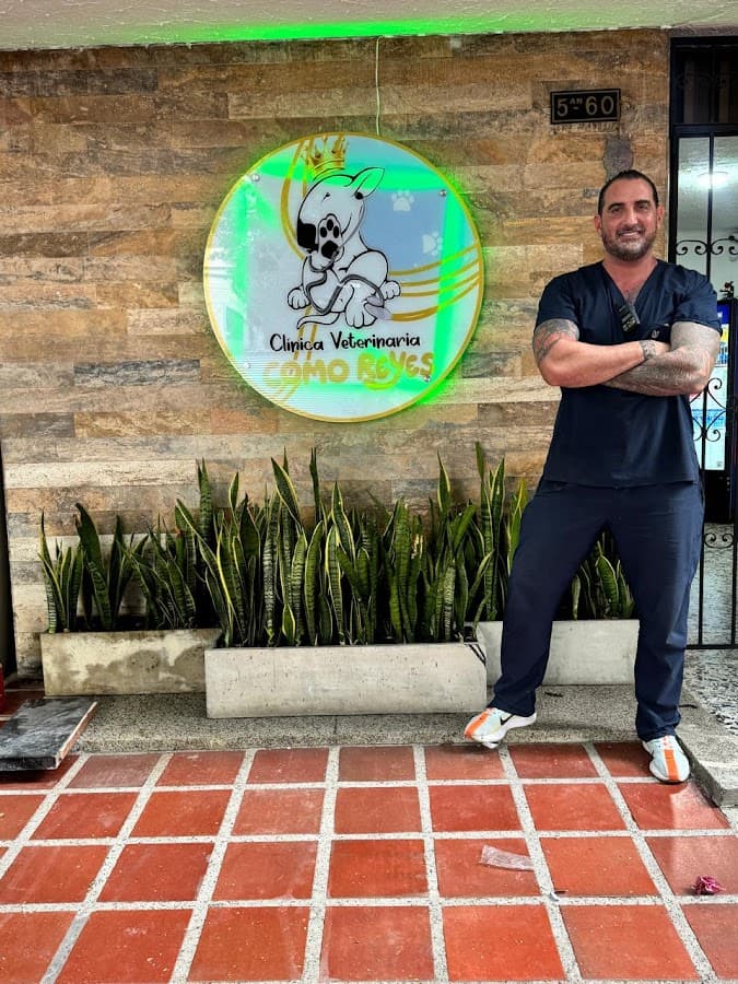 Clínica veterinaria Como Reyes 24 horas