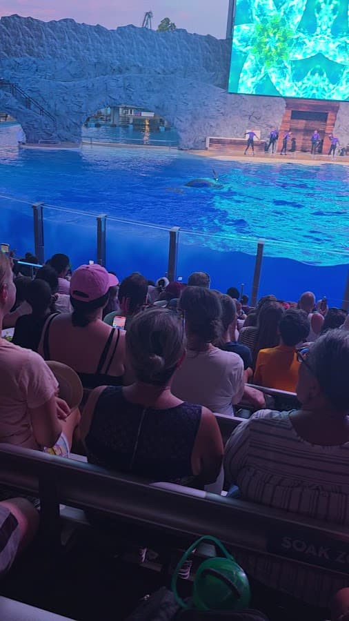 SeaWorld Orlando — foto