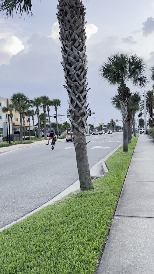 Holiday Inn Express Jacksonville Beach by IHG — foto