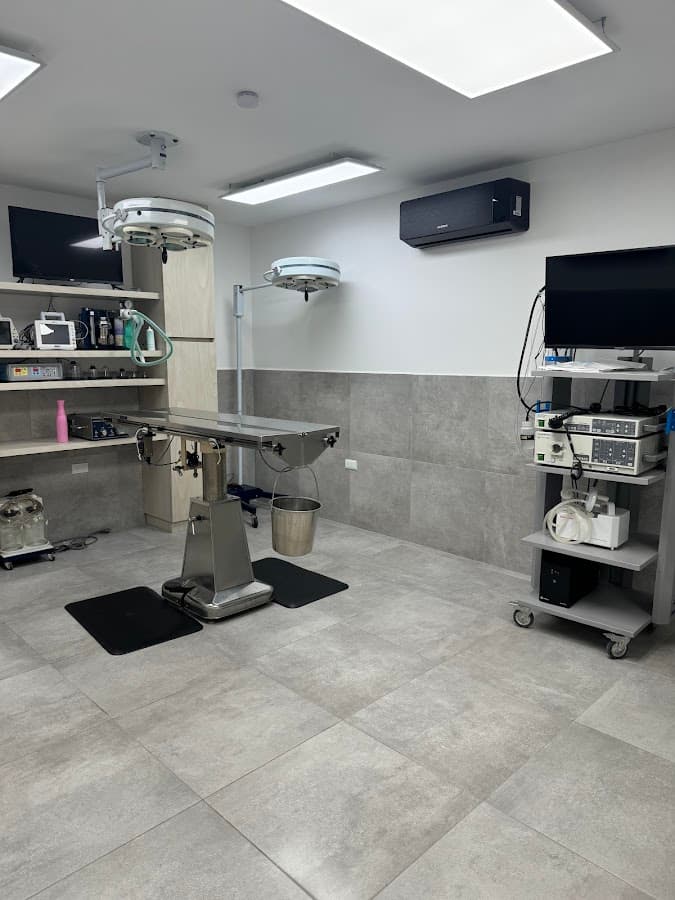 Centro Veterinario San Román Emergencias Veterinarias 24 horas Dr. Gustavo Vuurman — foto