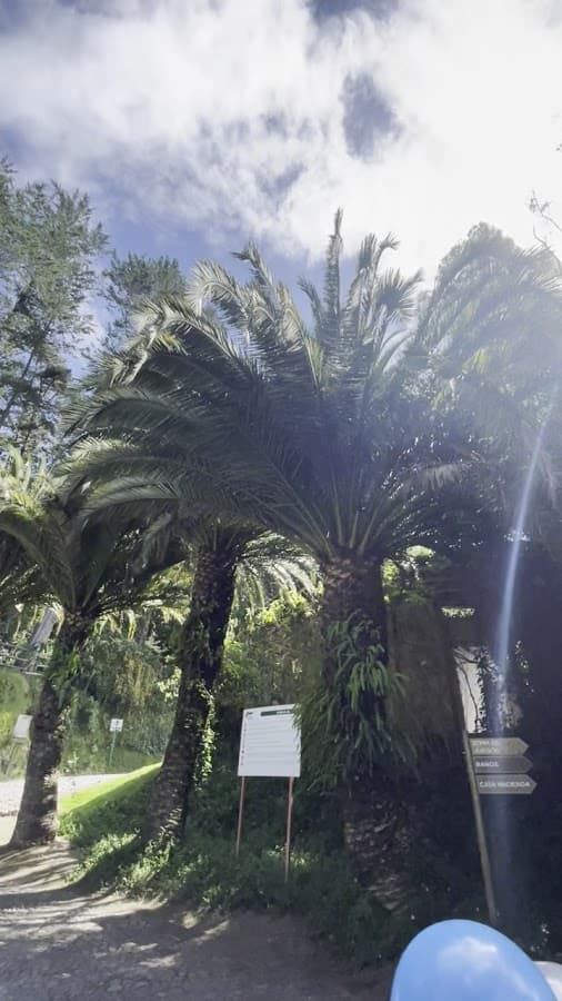 Parque Guápulo — foto