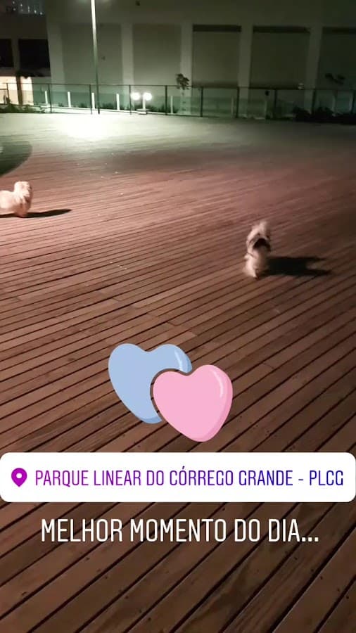 Caminho Parque Linear Córrego Grande — foto