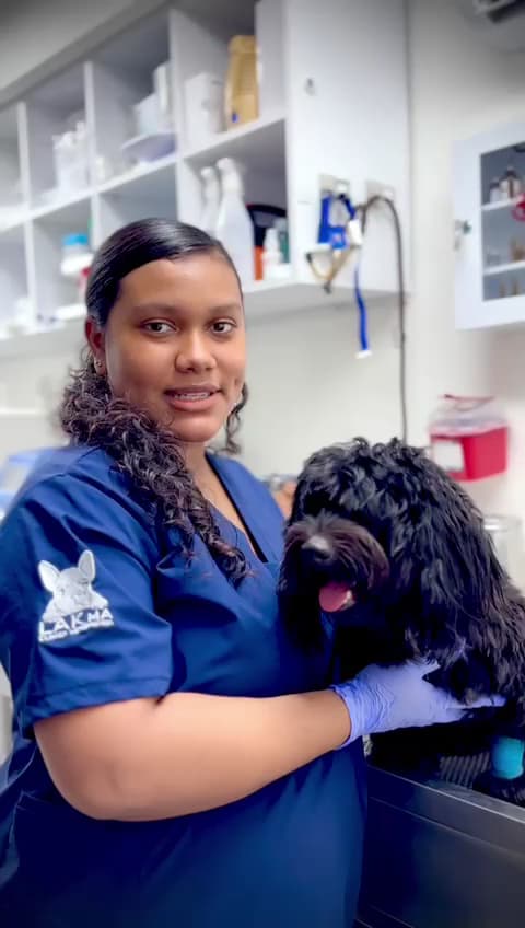 LAKma Clínica Veterinaria 24 Horas SEDE ZONA NORTE — foto
