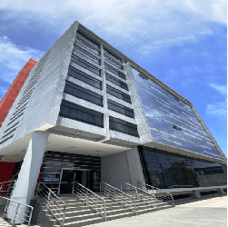 Onesta Abogados