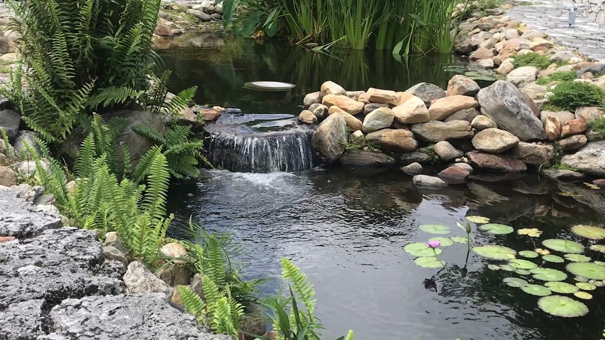 Ichimura Miami Japan Garden — foto