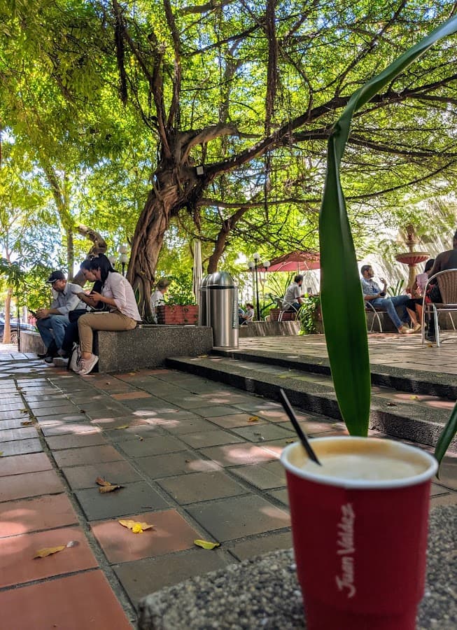 Parque Venezuela — foto