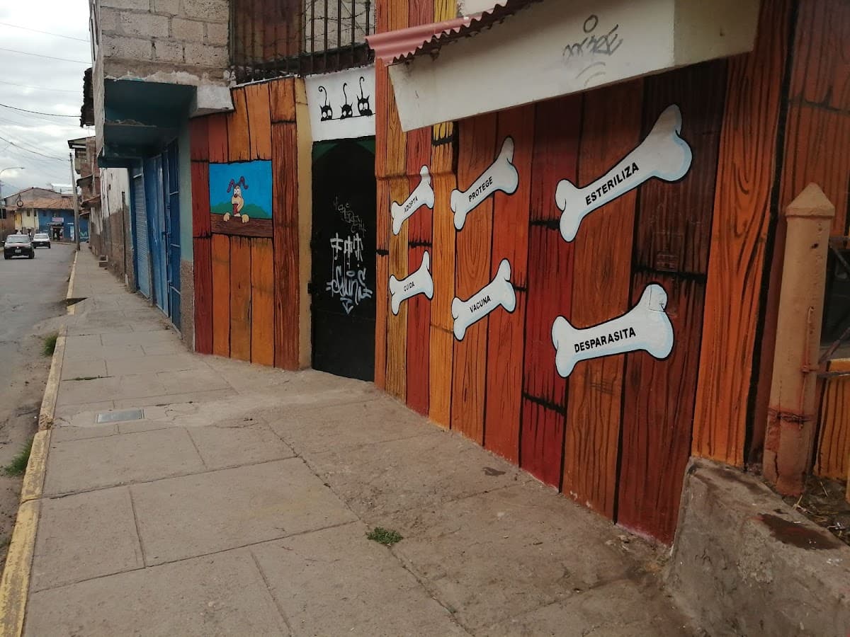Centro Veterinario Municipal Cusco — foto