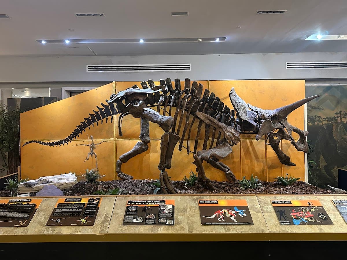 The Palm Beach Museum of Natural History — foto