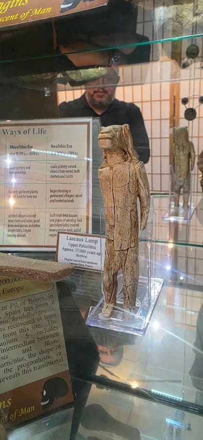 The Palm Beach Museum of Natural History — foto