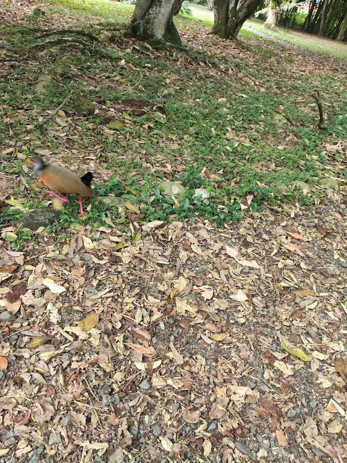 Eco Parque Lago De Las Garzas — foto