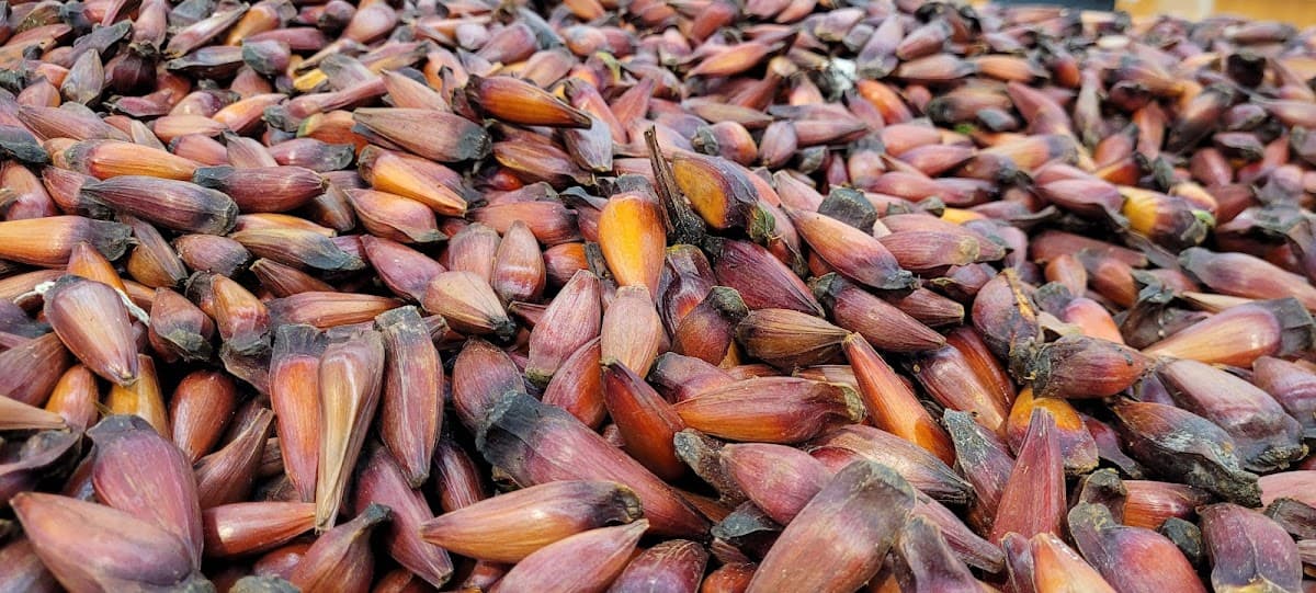 Giassi Supermercados - Florianópolis — foto