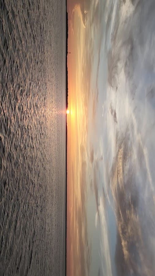 Amelia River Cruises & Charters — foto