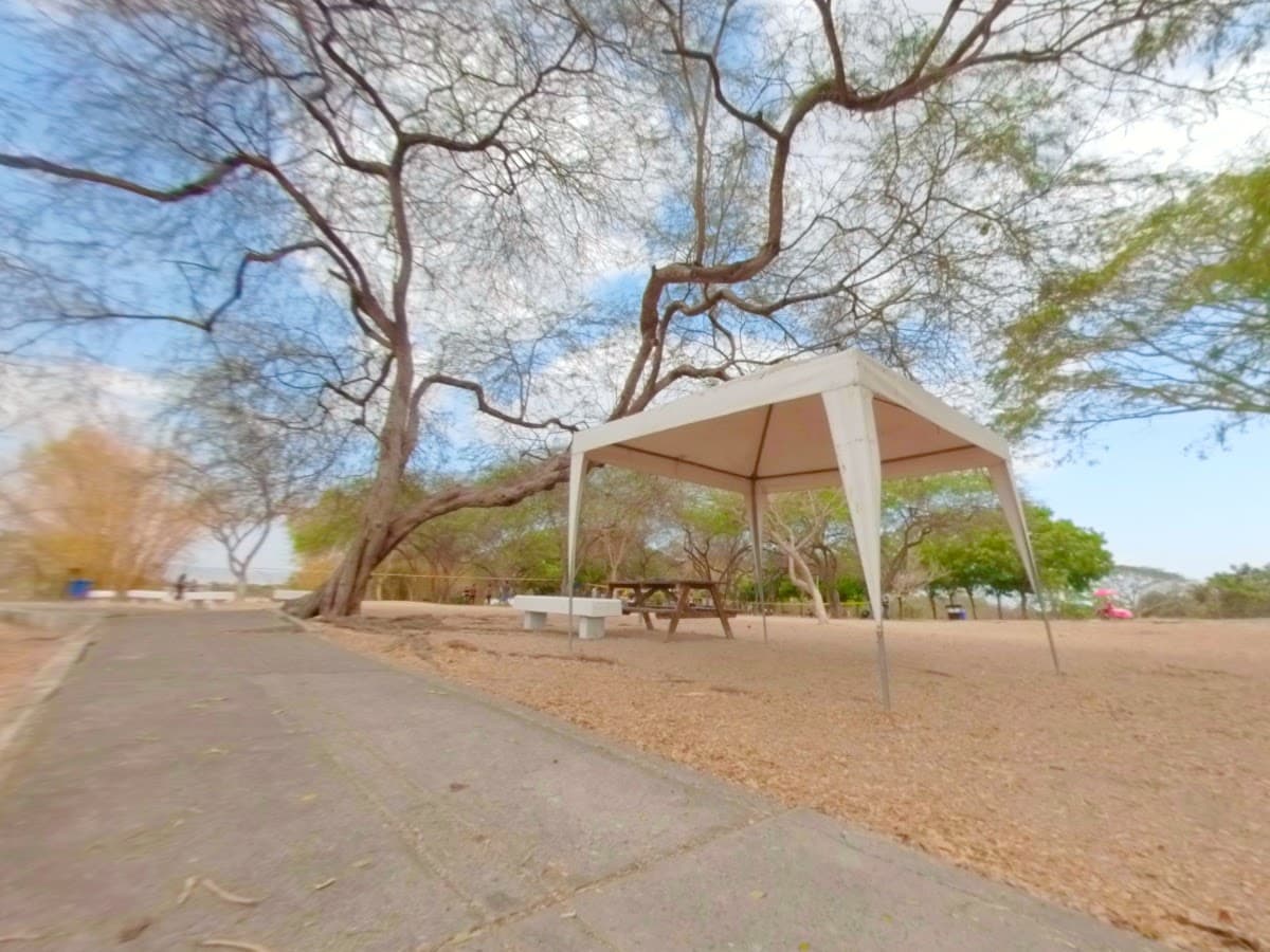 Parque Lago de Chongón — foto