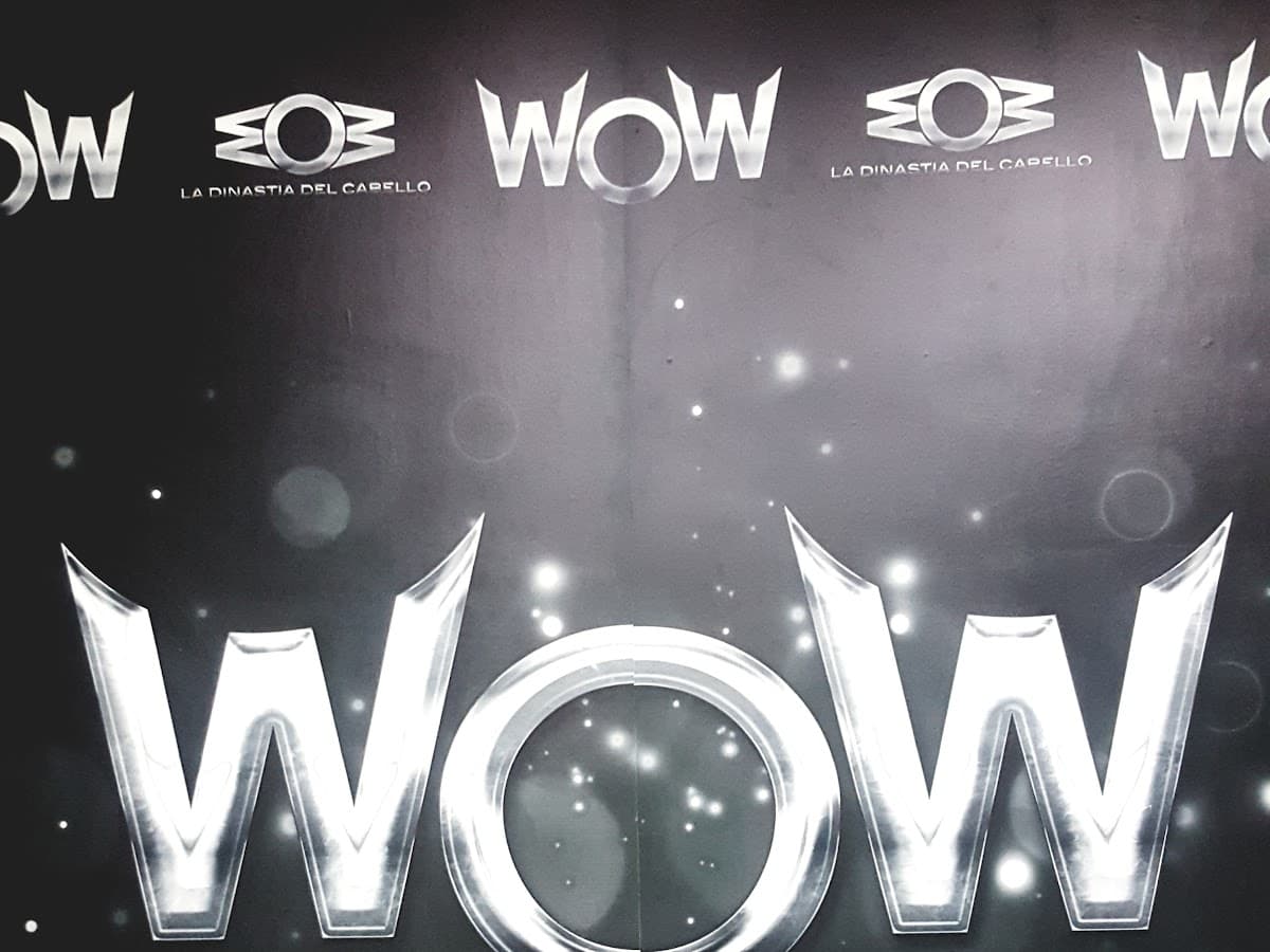 Peluqueria WoW