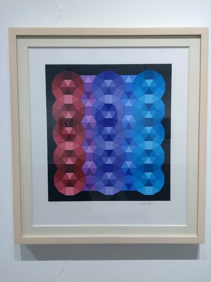 Museo de Arte del Tolima — foto