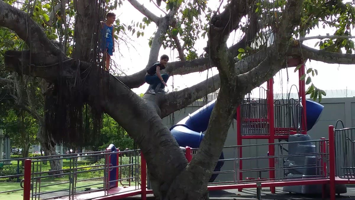 Parque Electrificadora — foto