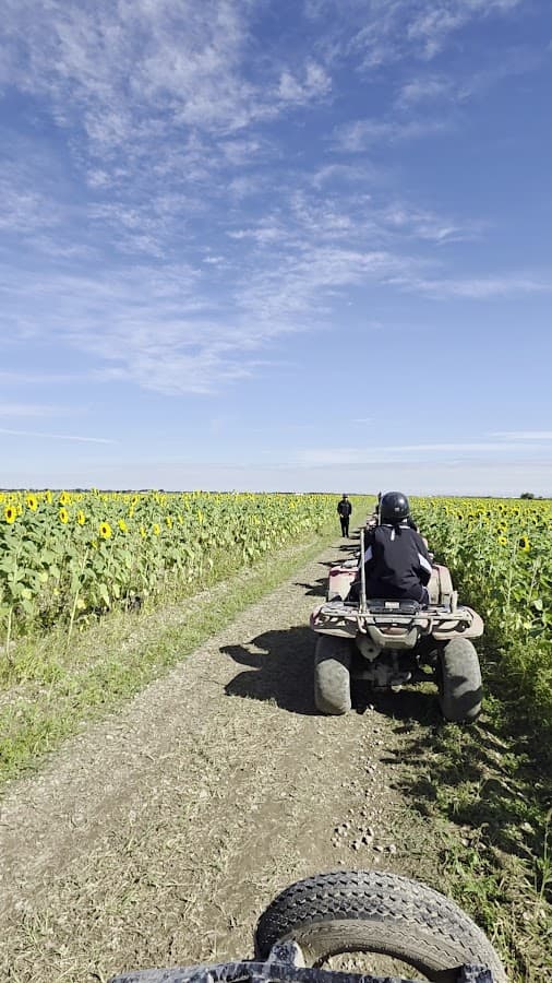 Takeovers Miami Atv Rentals — foto