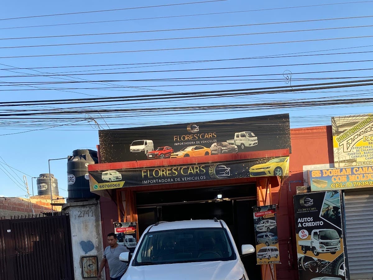 IMPORT SILVESTRE — foto