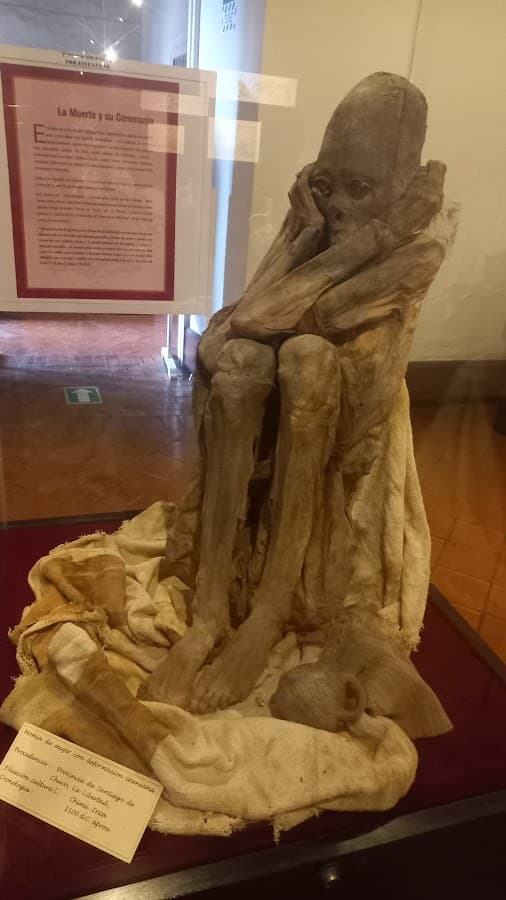 Museo de Arqueología, Antropología e Historia de la UNT — foto
