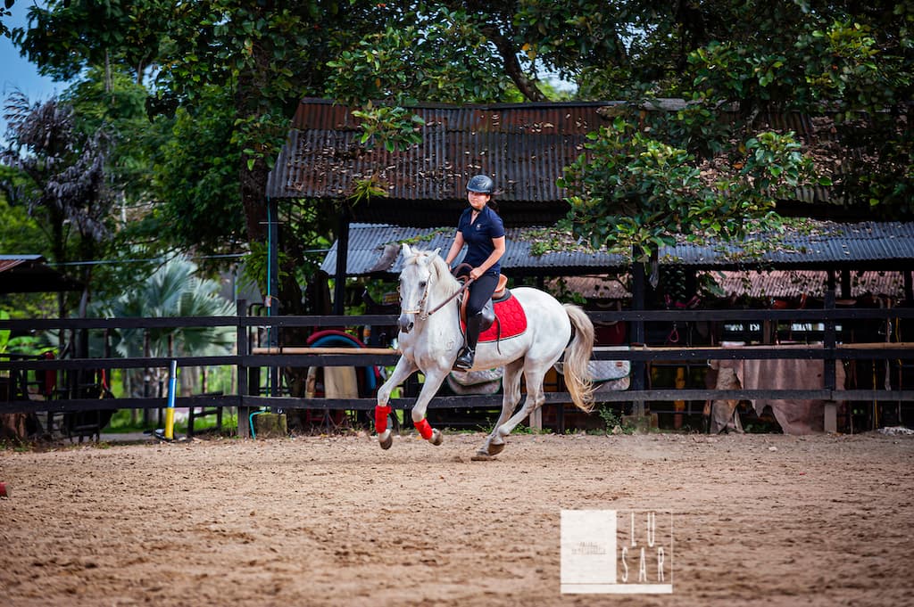 Parque Agroaventura