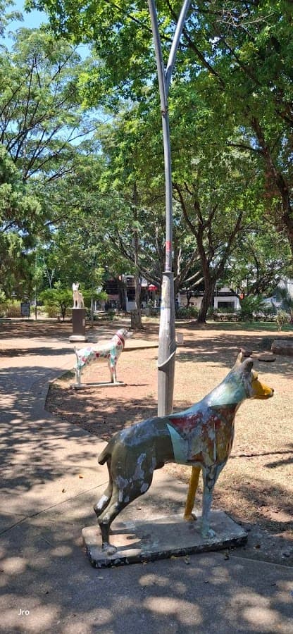 Parque Del Perro — foto