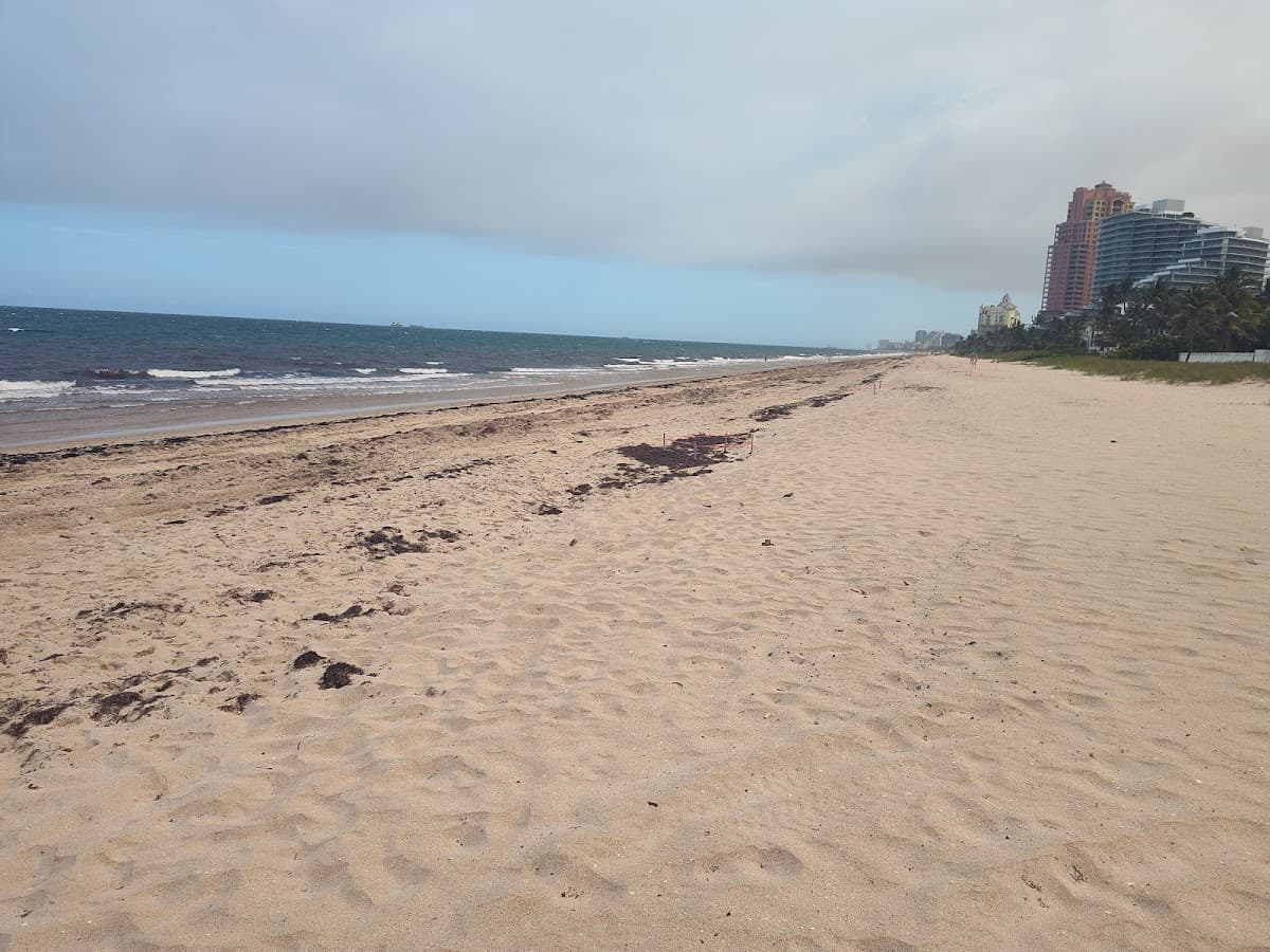 Loggerhead Park — foto