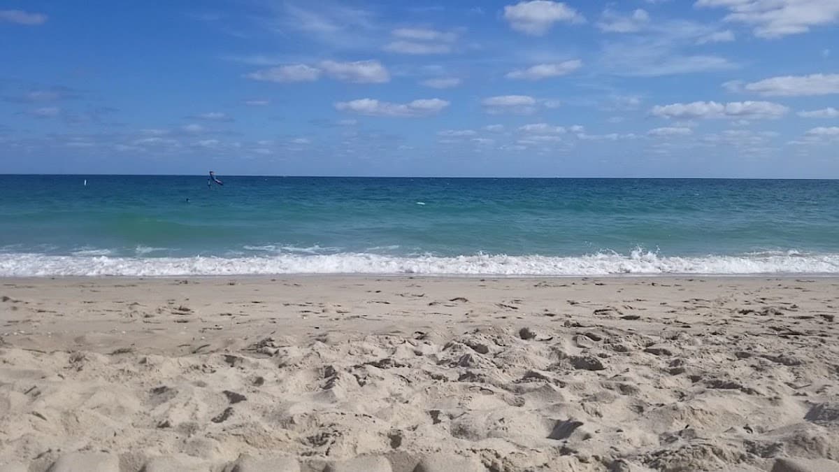 Loggerhead Park — foto