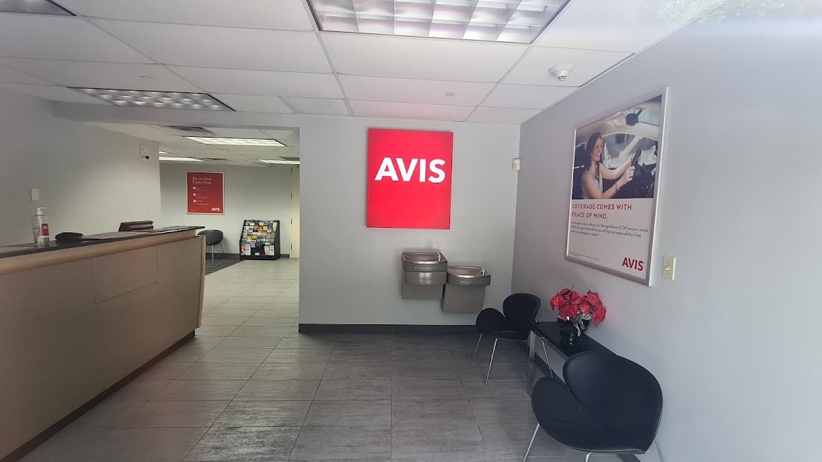 Avis Car Rental